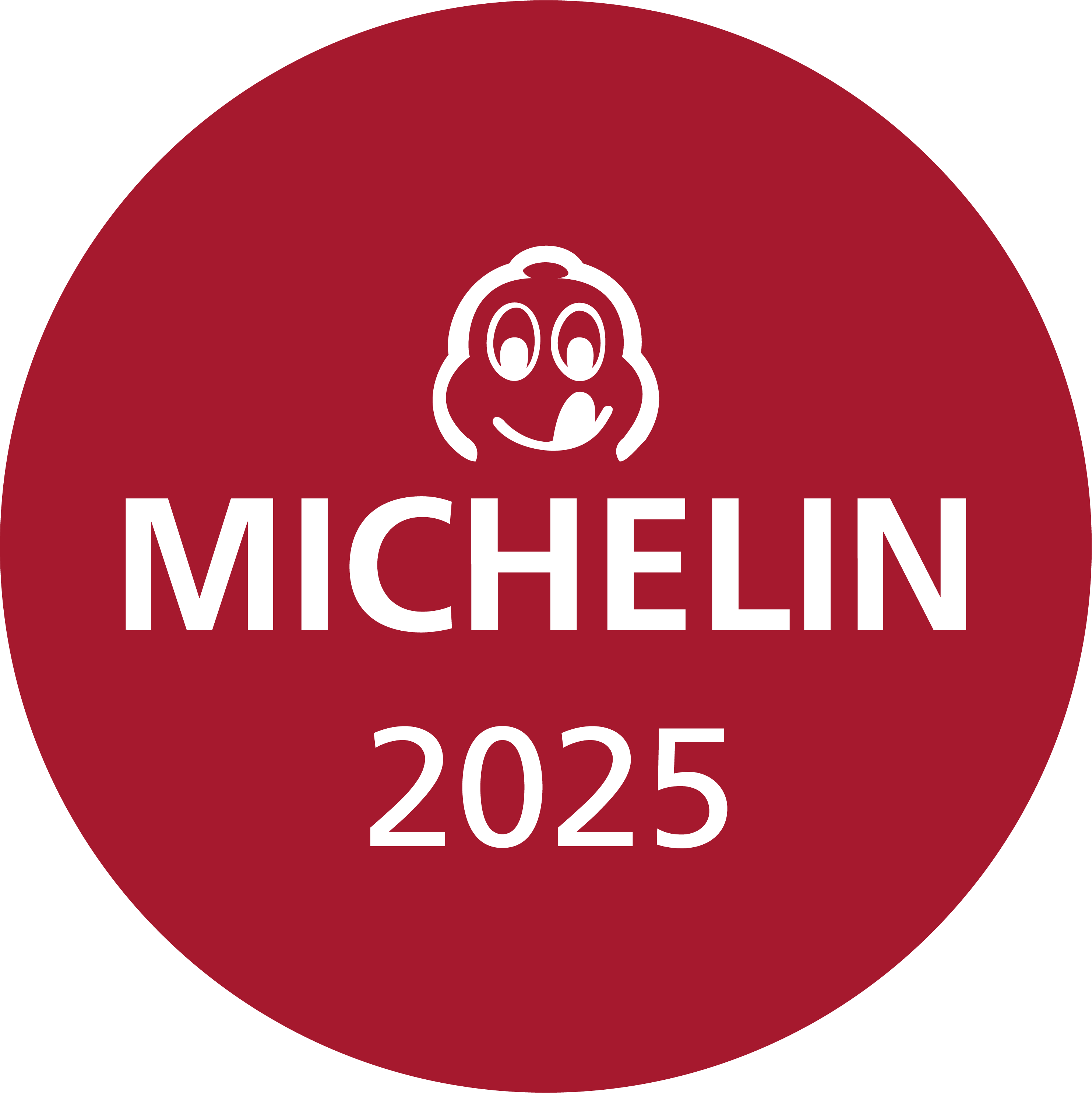 MICHELIN 2025_Bib